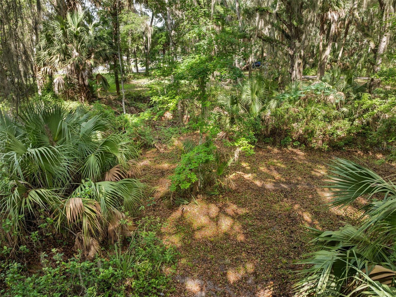 TBD SE WACAHOOTA RD, MICANOPY, FL — photo 3