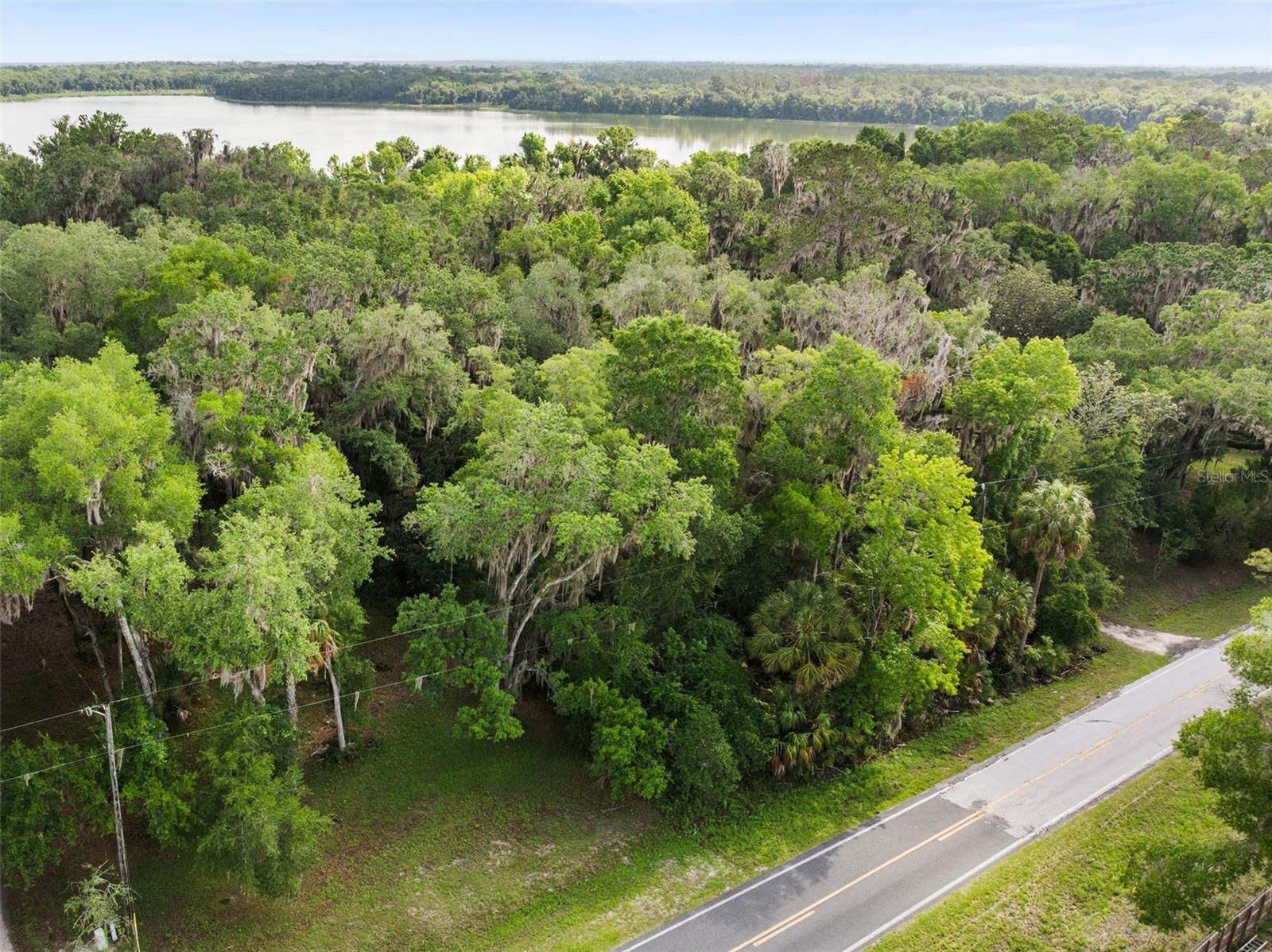 TBD SE WACAHOOTA RD, MICANOPY, FL — photo 4