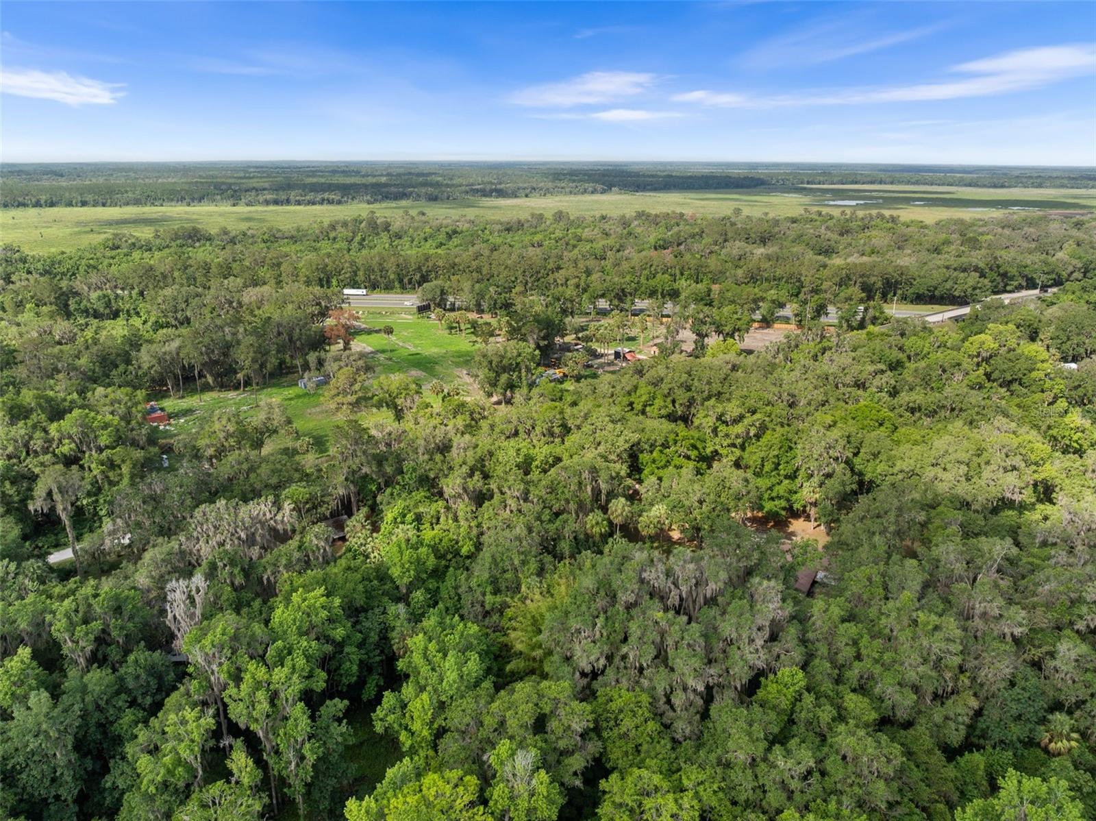 TBD SE WACAHOOTA RD, MICANOPY, FL — photo 10