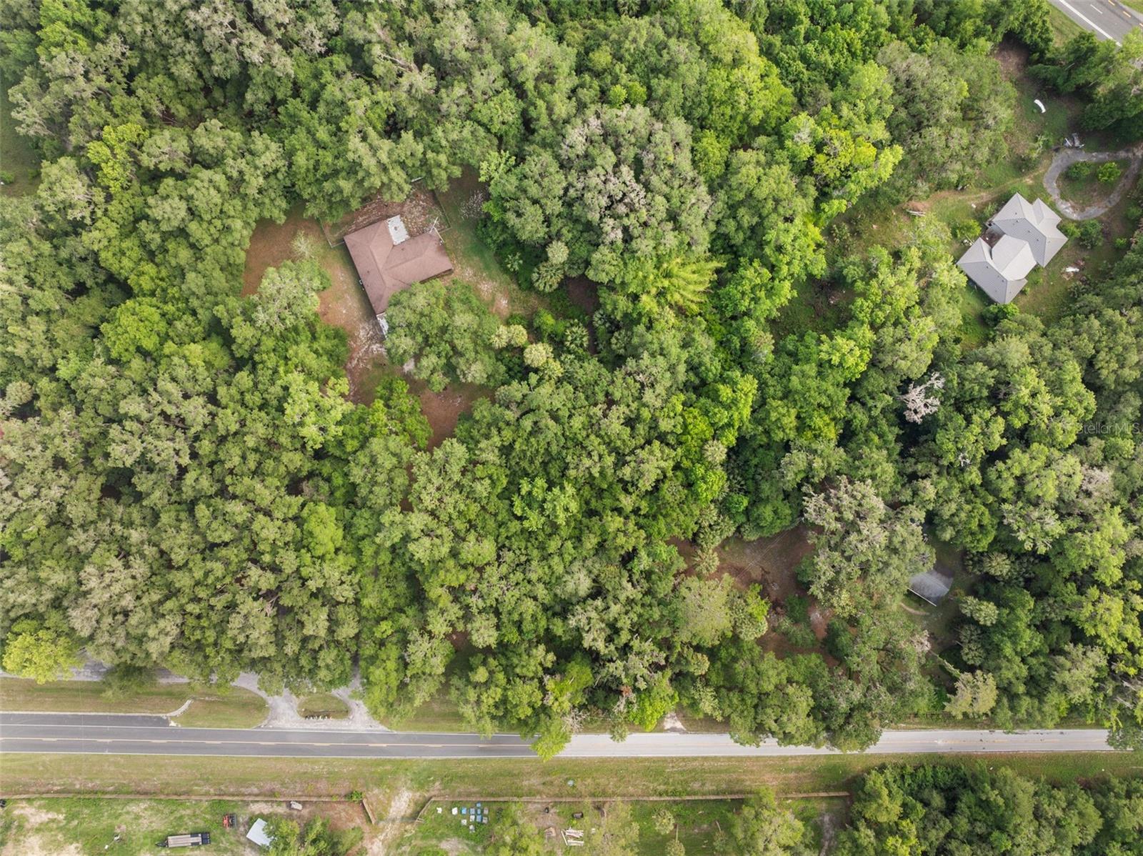TBD SE WACAHOOTA RD, MICANOPY, FL — photo 11