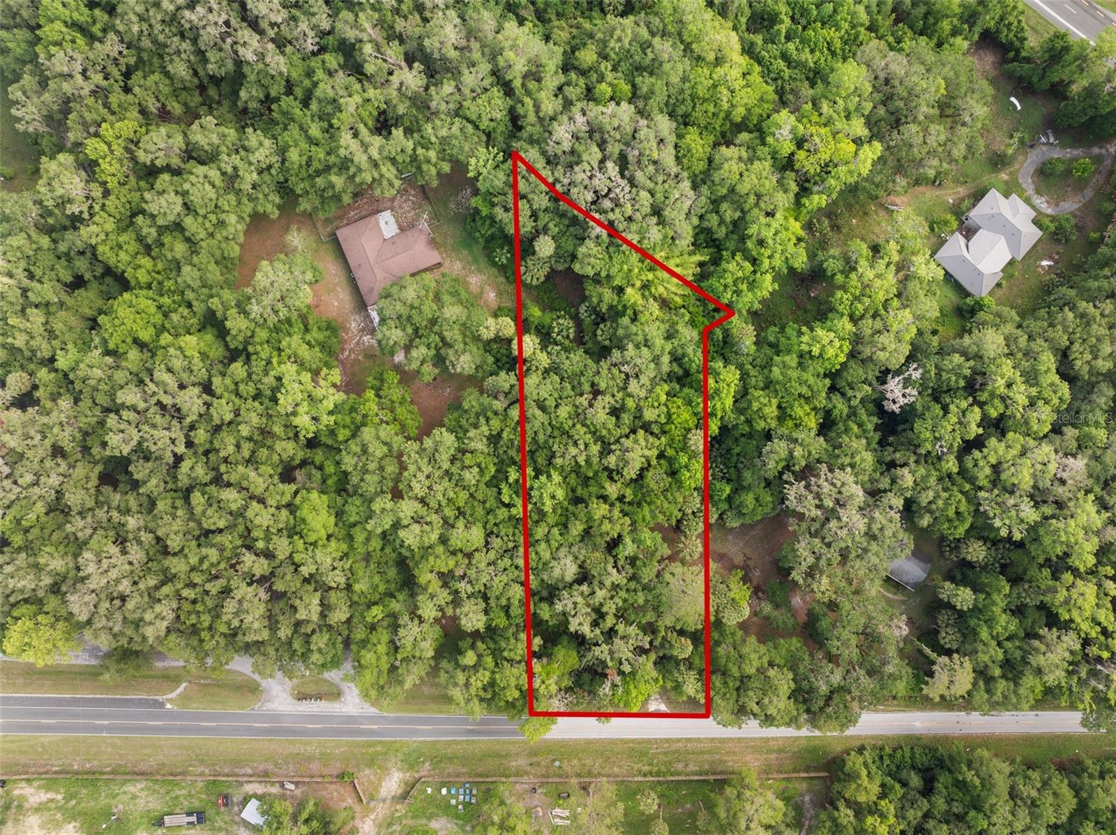 TBD SE WACAHOOTA RD, MICANOPY, FL — photo 12