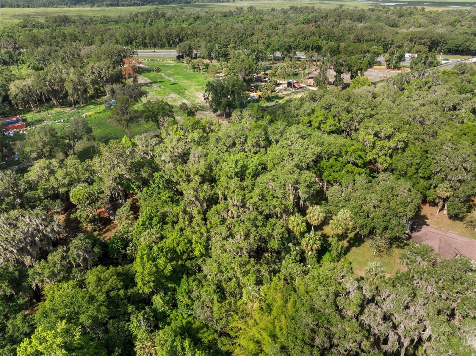 TBD SE WACAHOOTA RD, MICANOPY, FL — photo 13