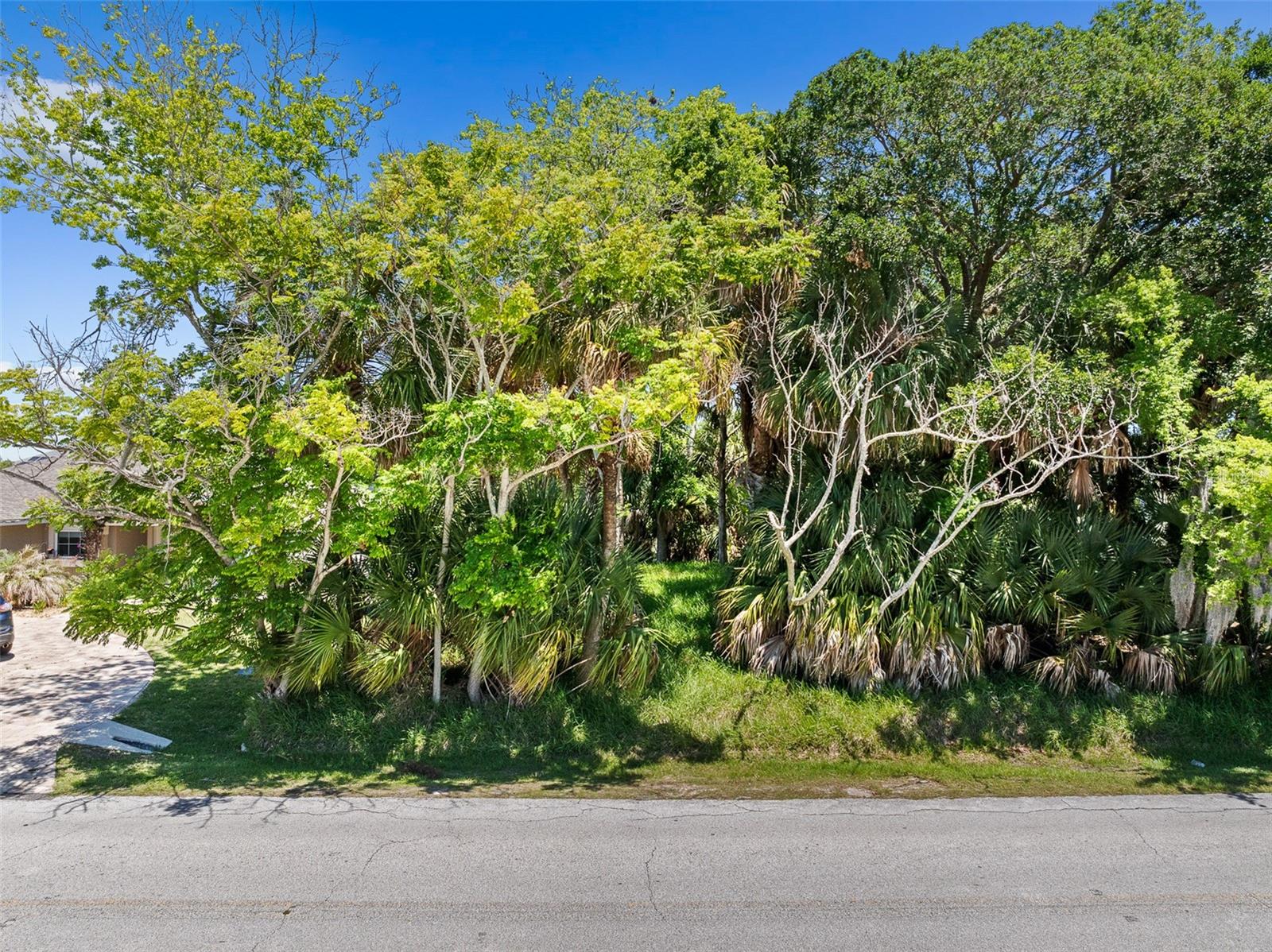 111 CIMMARON DR, PALM COAST, FL — photo 16