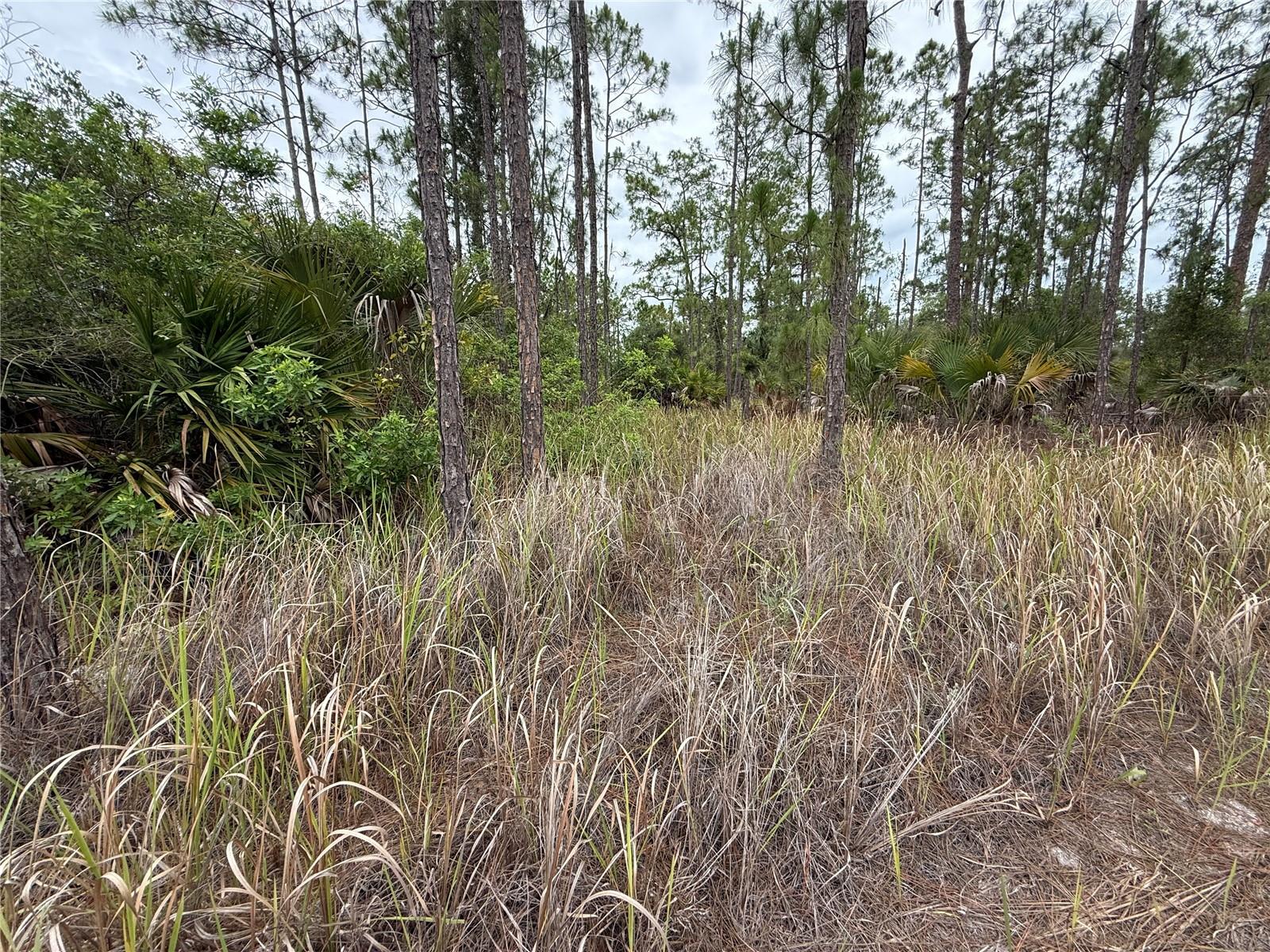 1106 W 13TH ST, LEHIGH ACRES, FL — photo 4