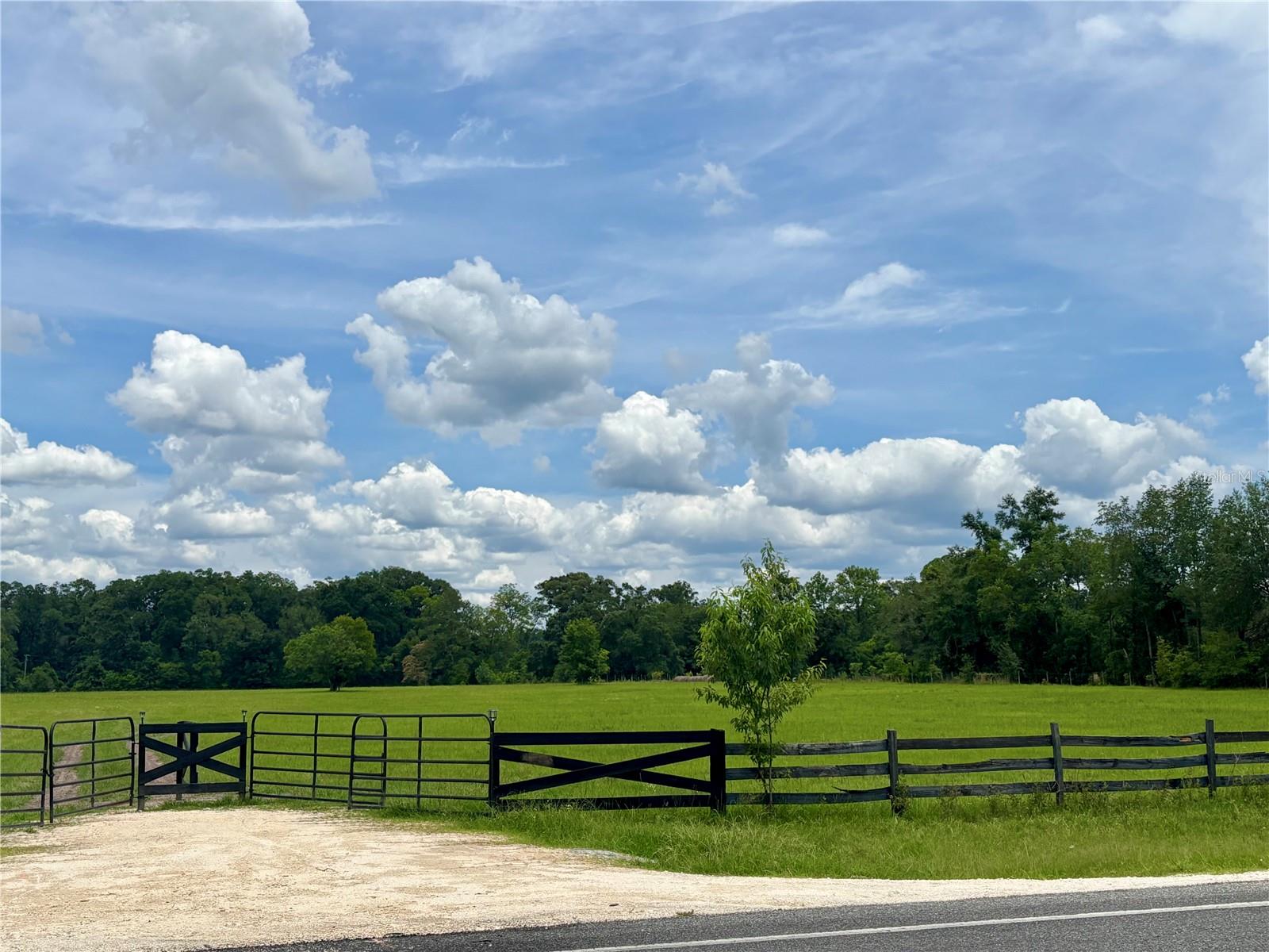 NW 202ND STREET, HIGH SPRINGS, FL — photo 3