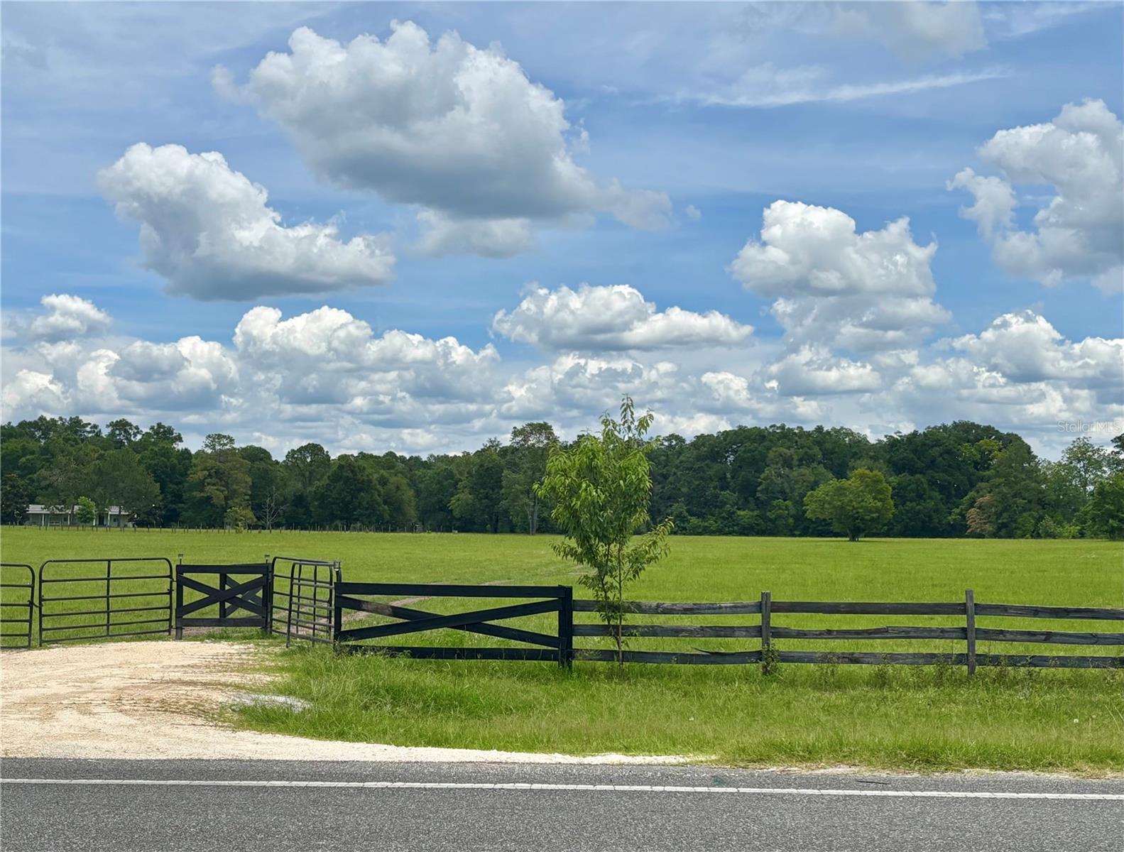 NW 202ND STREET, HIGH SPRINGS, FL — photo 5