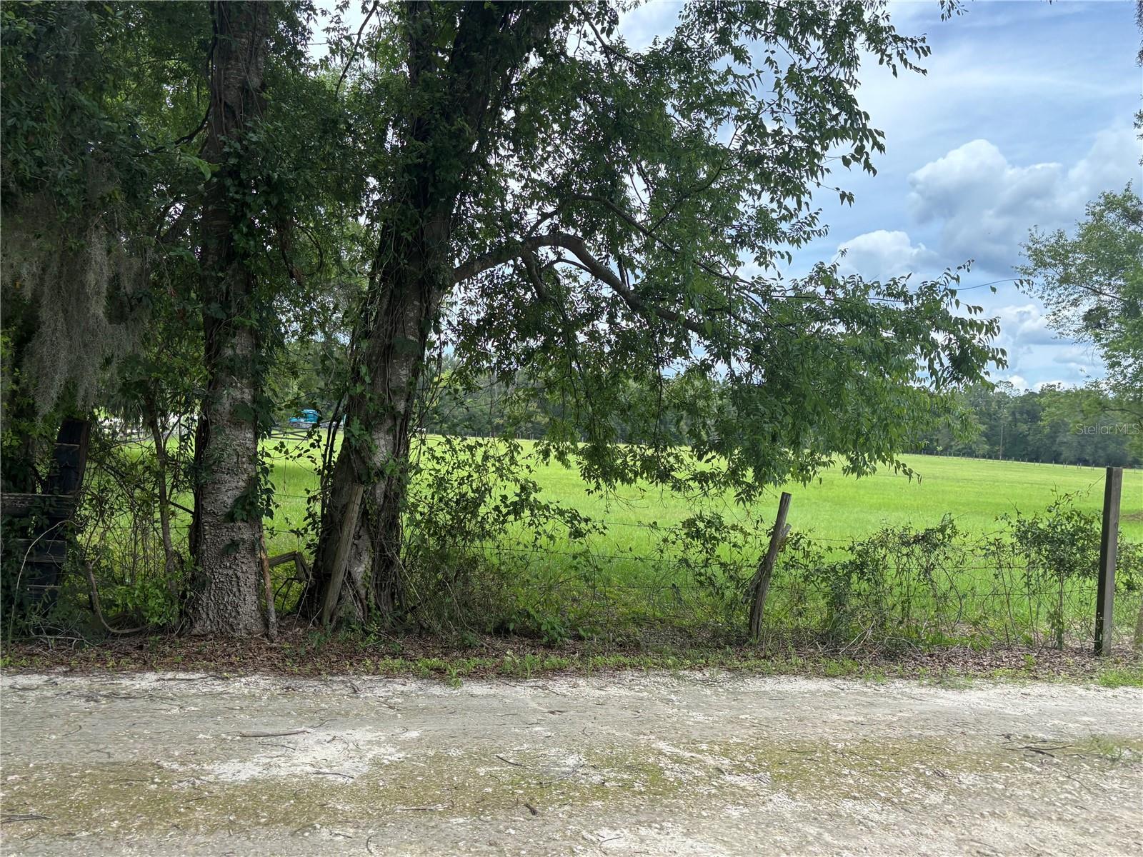 NW 202ND STREET, HIGH SPRINGS, FL — photo 8