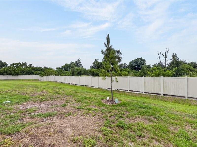 416 MANGROVE SHADE CIR, APOLLO BEACH, FL — photo 69