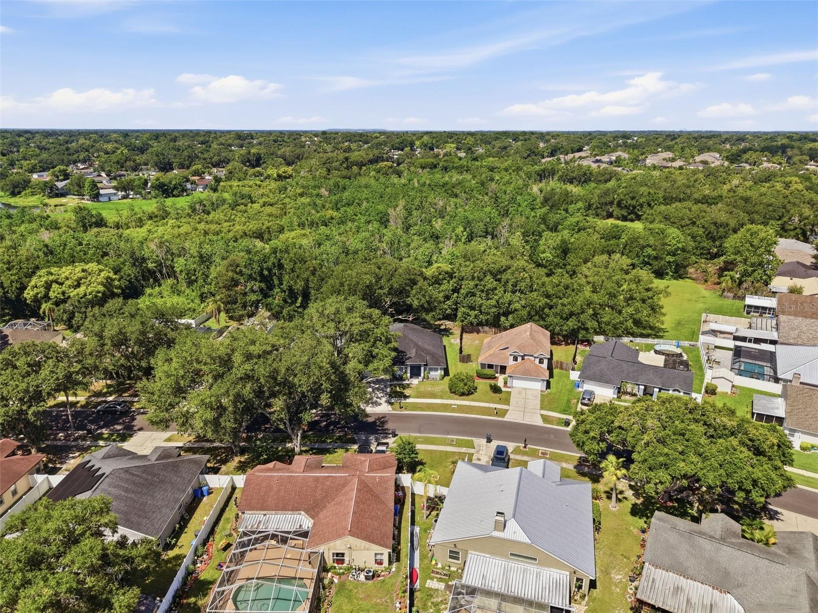 1328 GANGPLANK DR, VALRICO, FL — photo 18