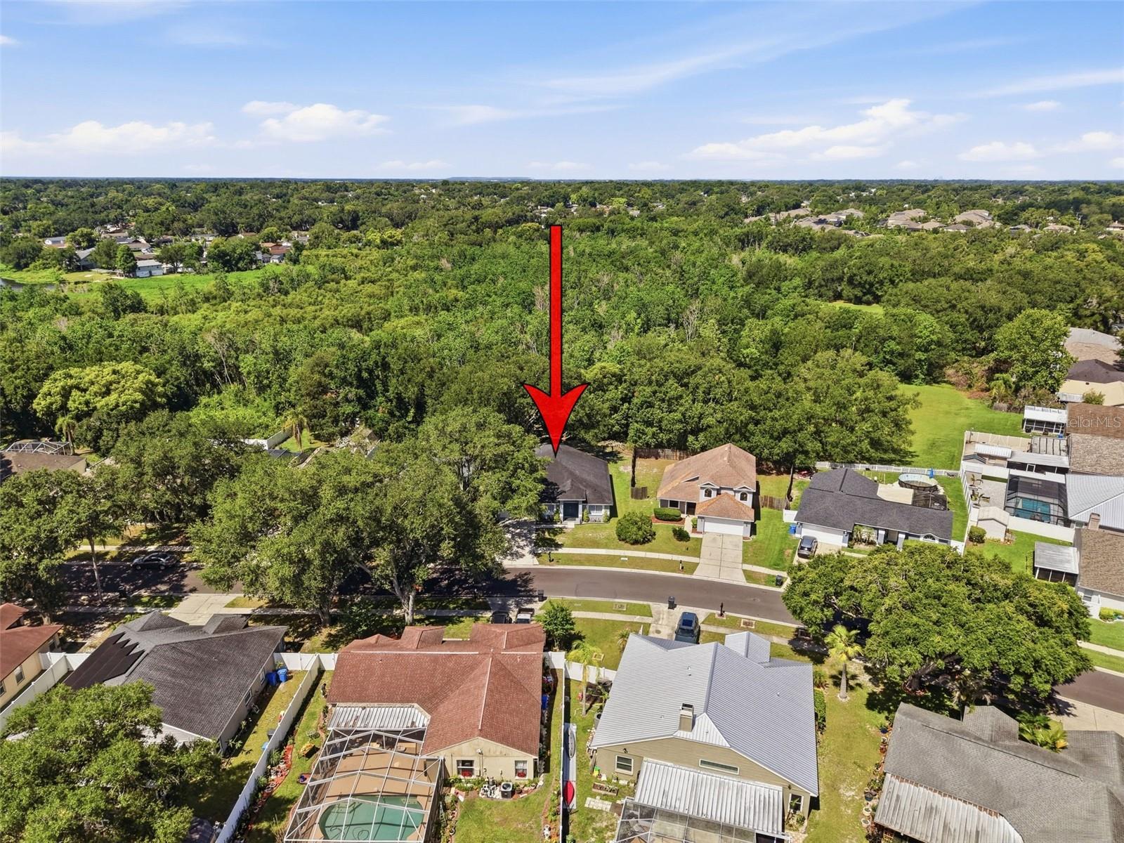 1328 GANGPLANK DR, VALRICO, FL — photo 19