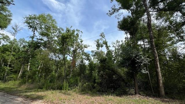 SW BUMBLE ST, FORT WHITE, FL — photo 2