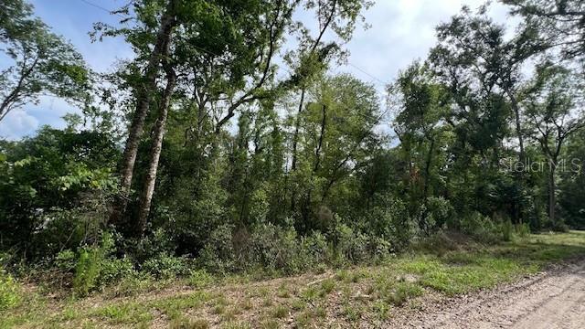 SW BUMBLE ST, FORT WHITE, FL — photo 3