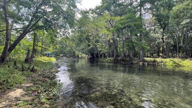 SW BUMBLE ST, FORT WHITE, FL — photo 9