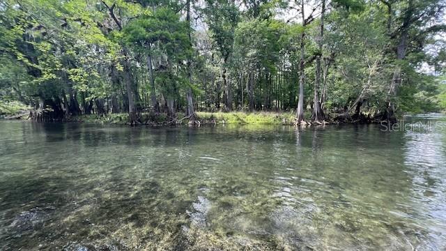 SW BUMBLE ST, FORT WHITE, FL — photo 10