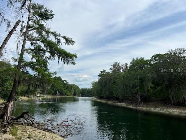 SW BUMBLE ST, FORT WHITE, FL — photo 15