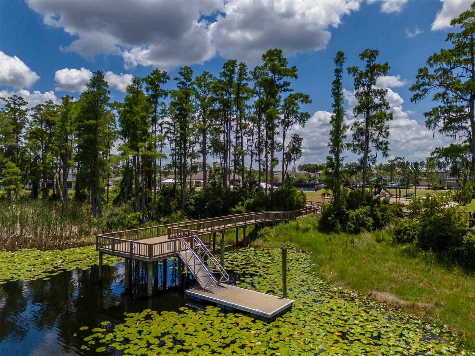 1686 CHERRY WALK RD, LUTZ, FL — photo 69