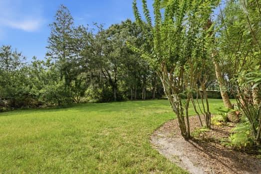 4415 AVENUE CANNES, LUTZ, FL — photo 48