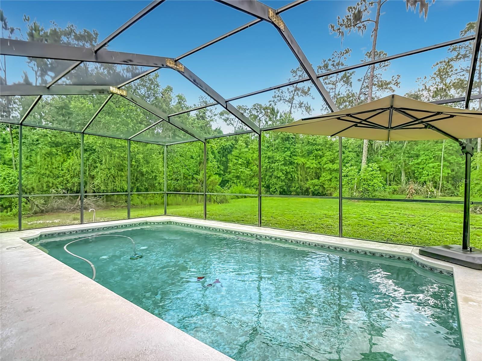 8338 HANDCART RD, WESLEY CHAPEL, FL — photo 3