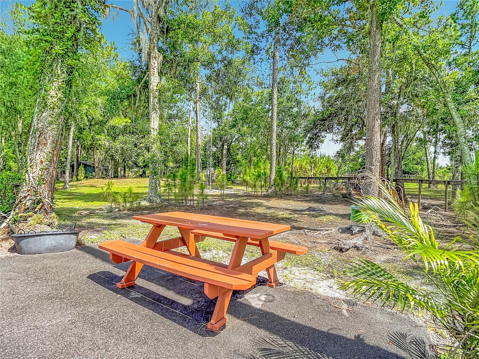 8338 HANDCART RD, WESLEY CHAPEL, FL — photo 71