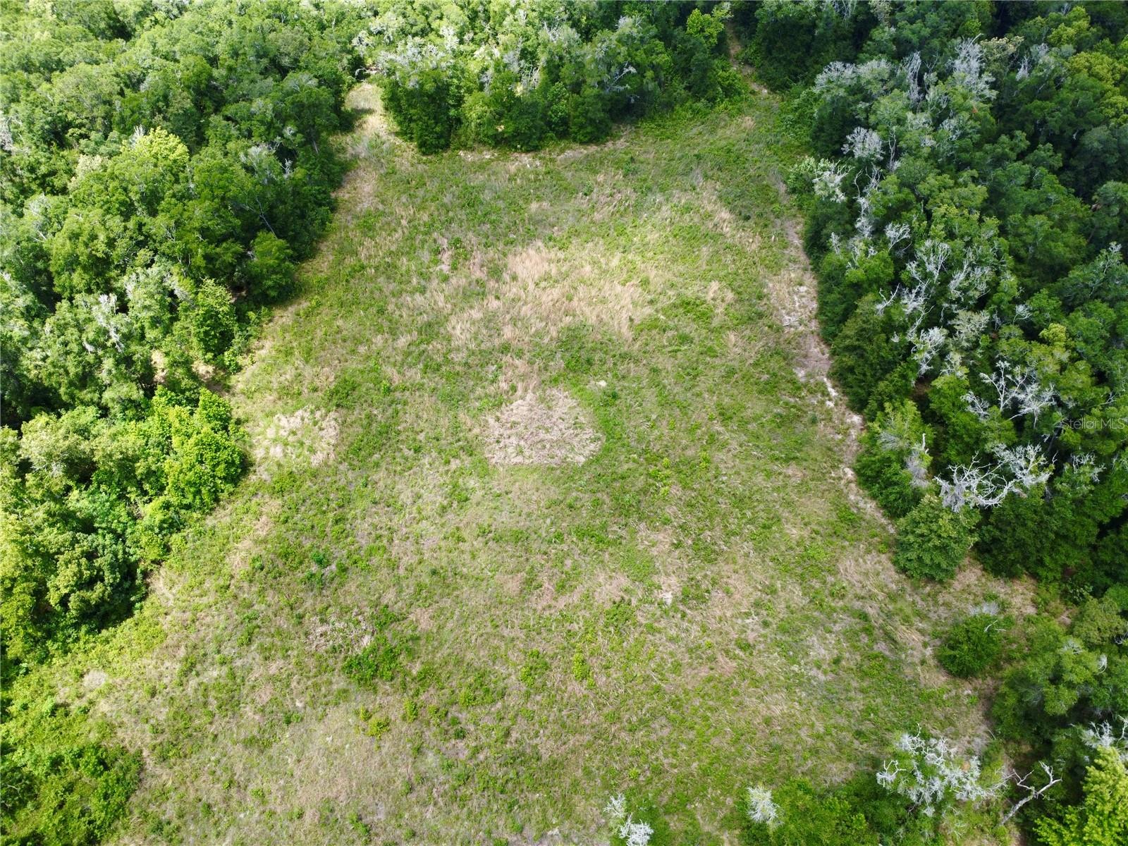 TBD S PINE AVENUE, OCALA, FL — photo 19