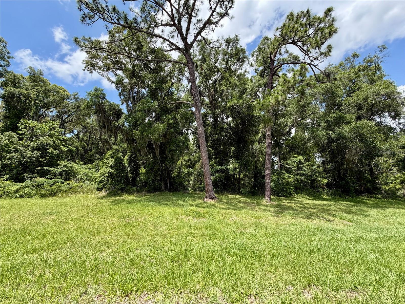 TBD S PINE AVENUE, OCALA, FL — photo 21