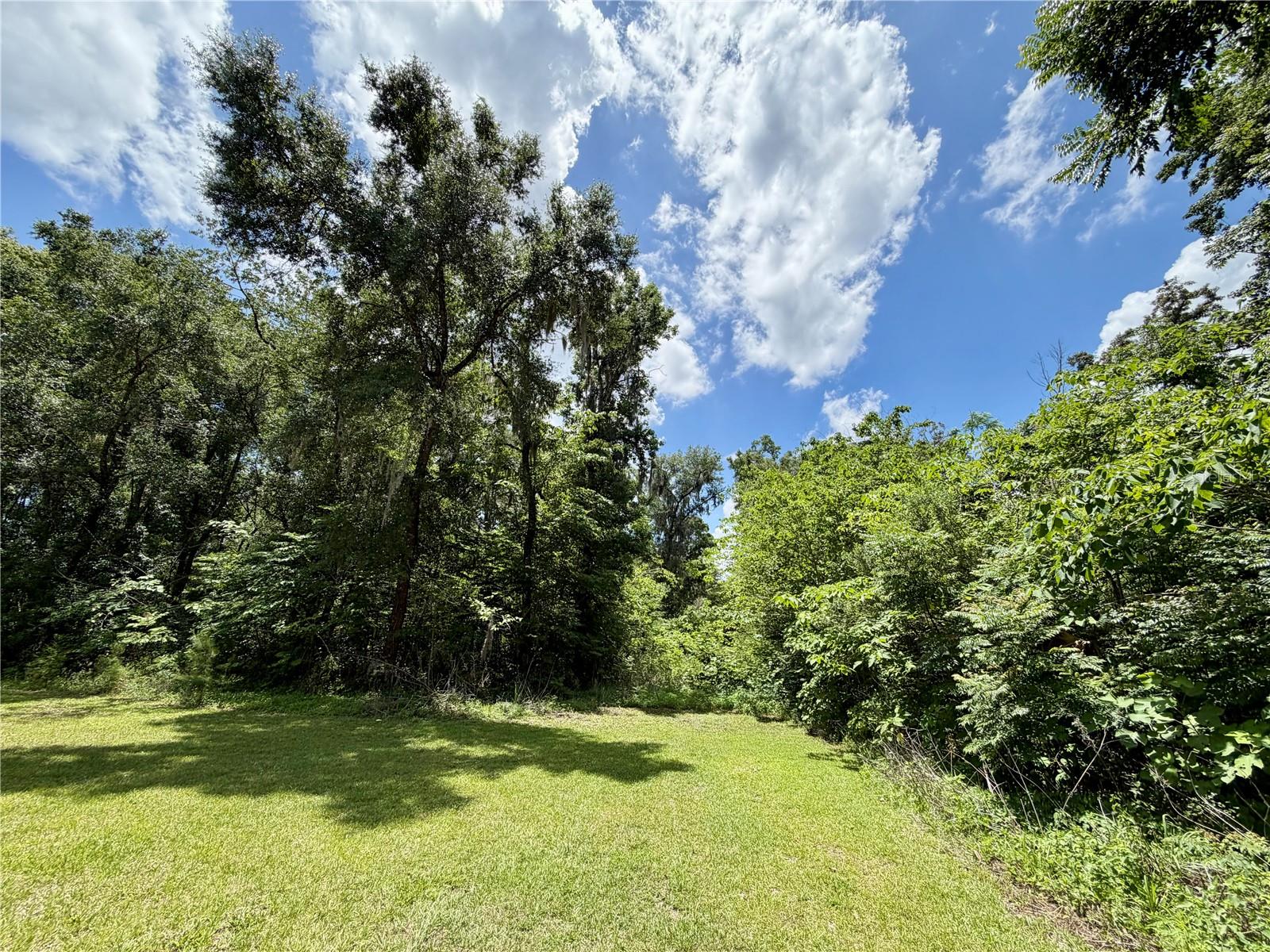 TBD S PINE AVENUE, OCALA, FL — photo 25