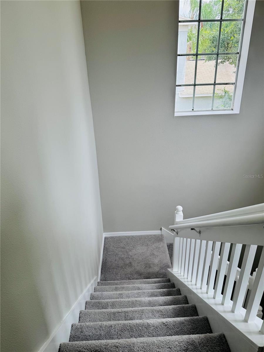 3517 TRAPNELL RIDGE DR, PLANT CITY, FL — photo 9