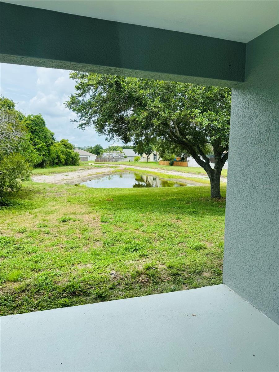 3517 TRAPNELL RIDGE DR, PLANT CITY, FL — photo 21