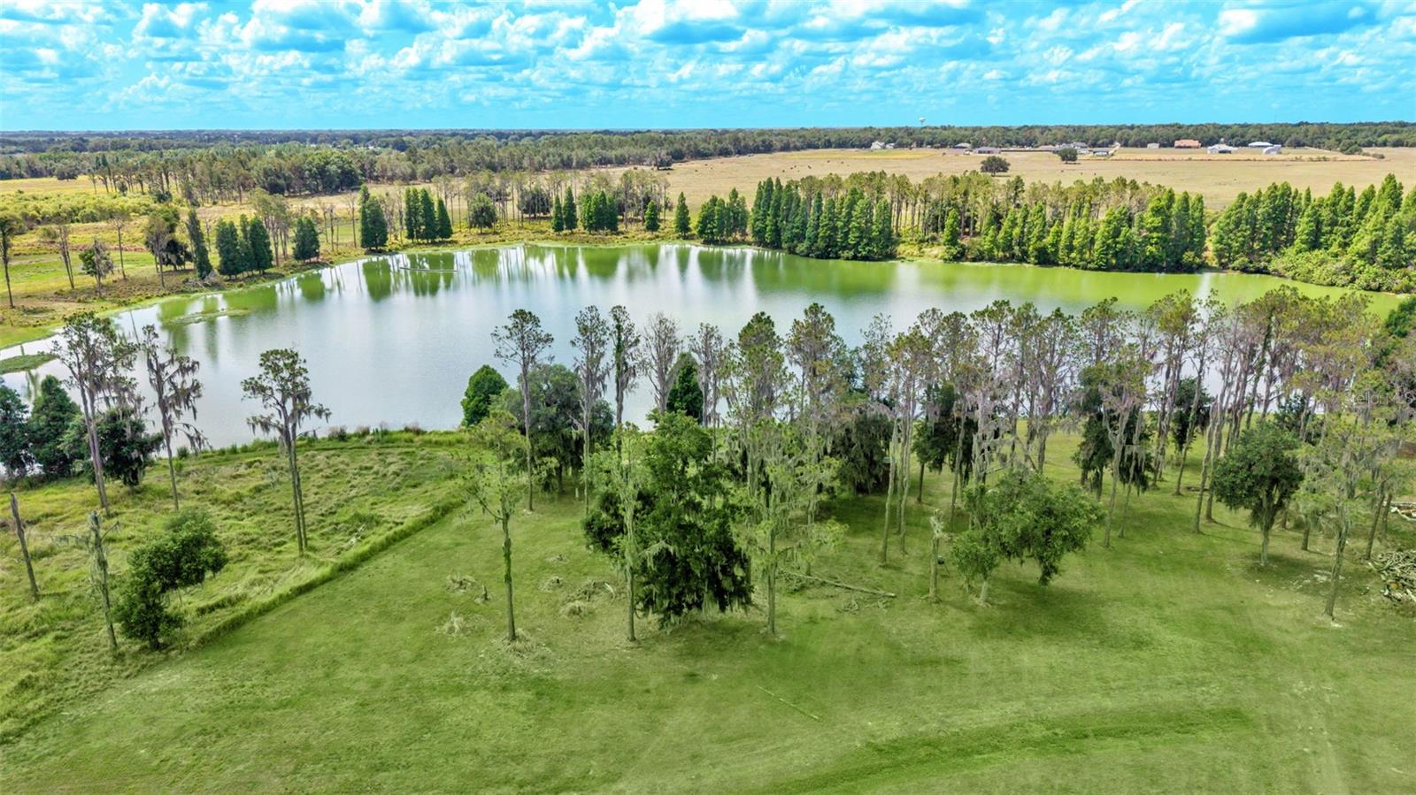 1044 TIMBERS DR, FORT MEADE, FL — photo 5