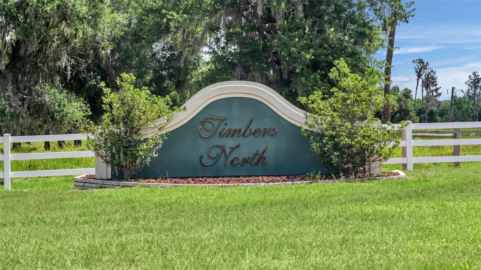 1044 TIMBERS DR, FORT MEADE, FL — photo 66