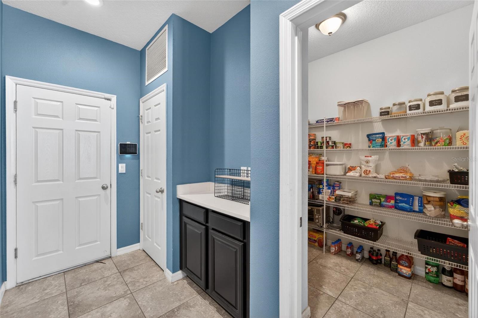 11621 TETRAFIN DR, RIVERVIEW, FL — photo 20