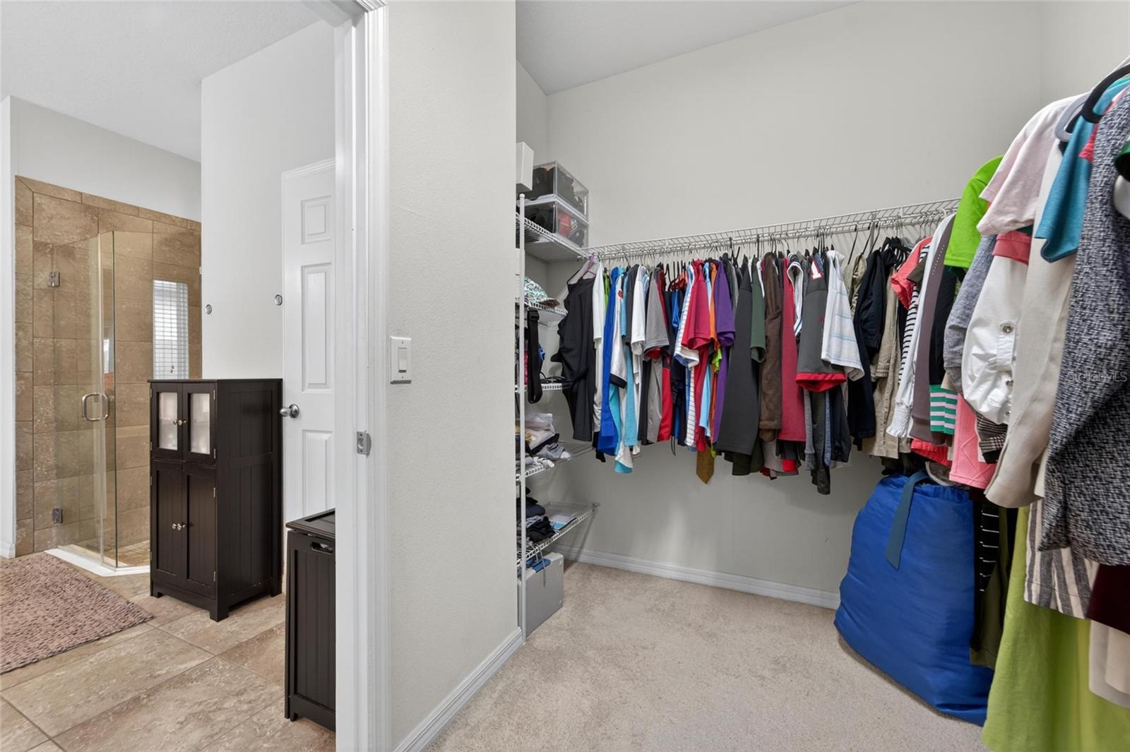 11621 TETRAFIN DR, RIVERVIEW, FL — photo 18