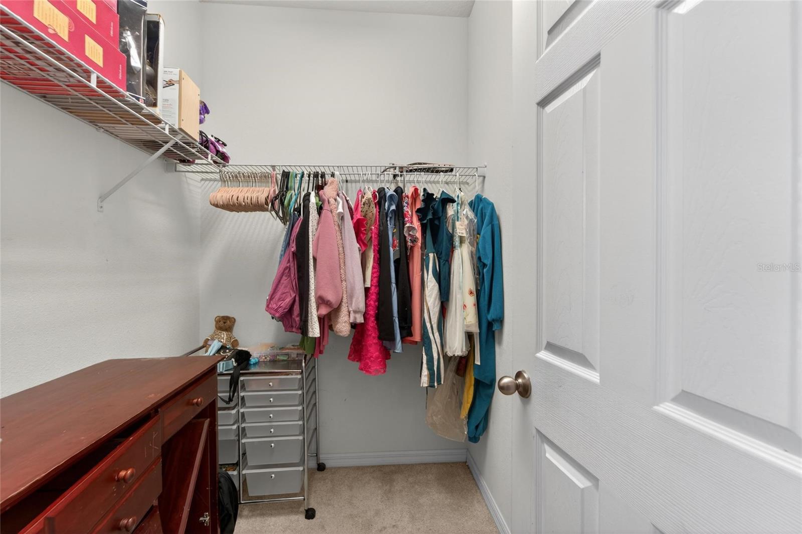 11621 TETRAFIN DR, RIVERVIEW, FL — photo 41