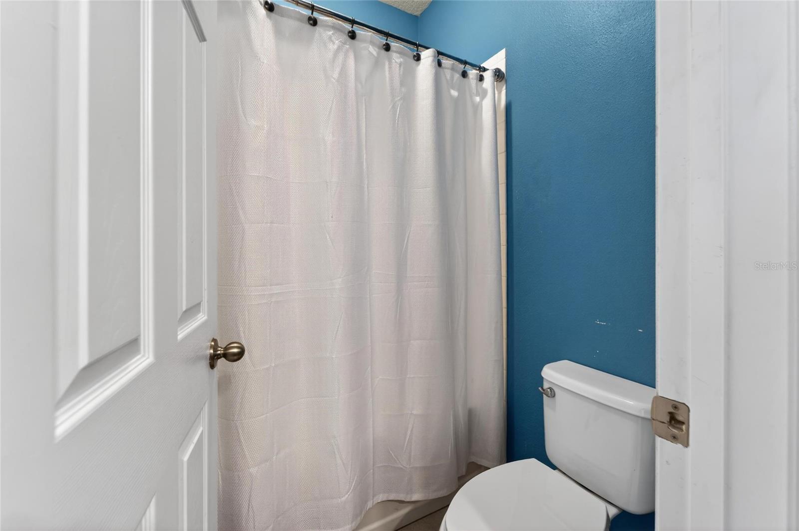 11621 TETRAFIN DR, RIVERVIEW, FL — photo 47