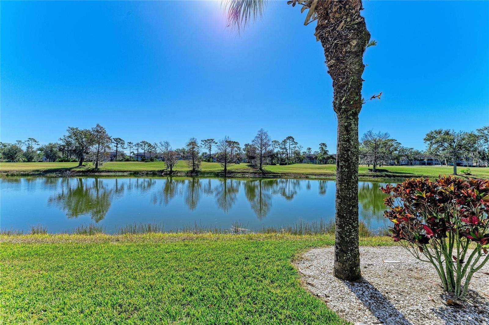 5350 HYLAND HILLS AVE #2512, SARASOTA, FL — photo 24