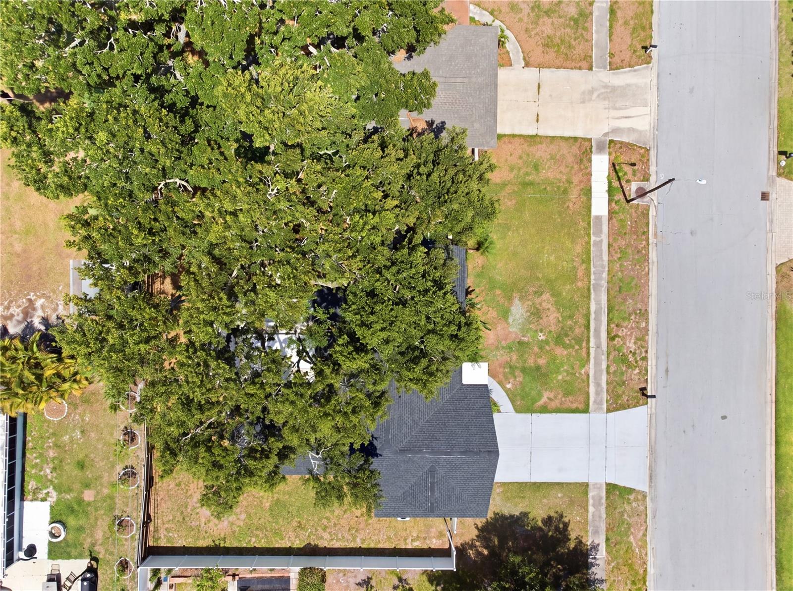 1656 WEBB DR, CLEARWATER, FL — photo 49