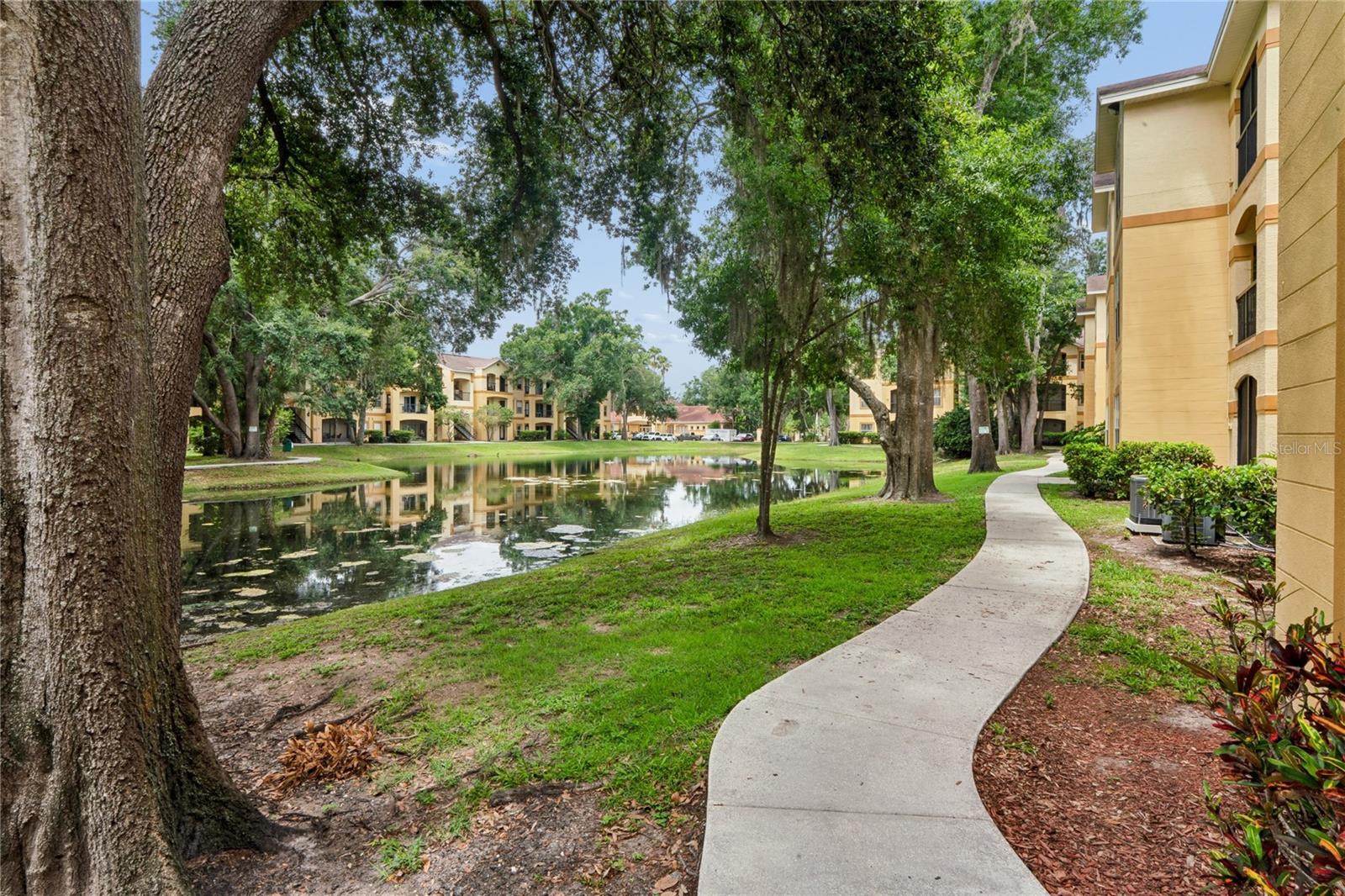 5618 PINNACLE HEIGHTS CIR #309, TAMPA, FL — photo 35
