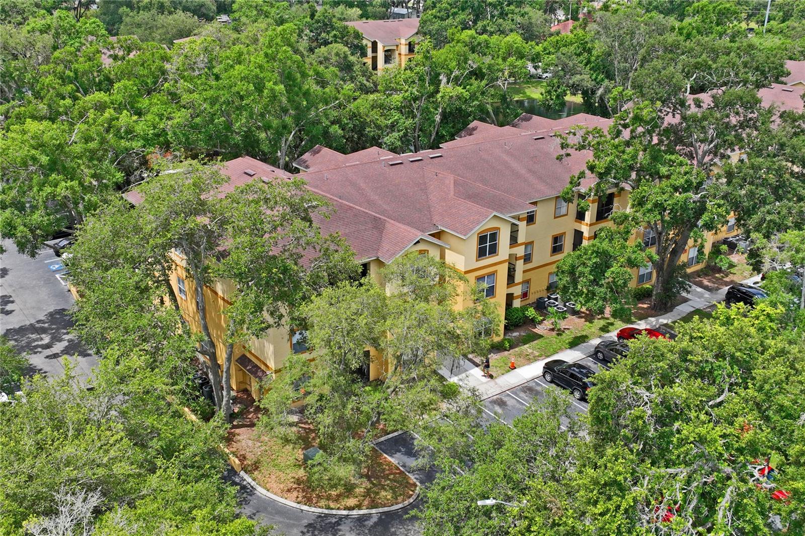 5618 PINNACLE HEIGHTS CIR #309, TAMPA, FL — photo 36