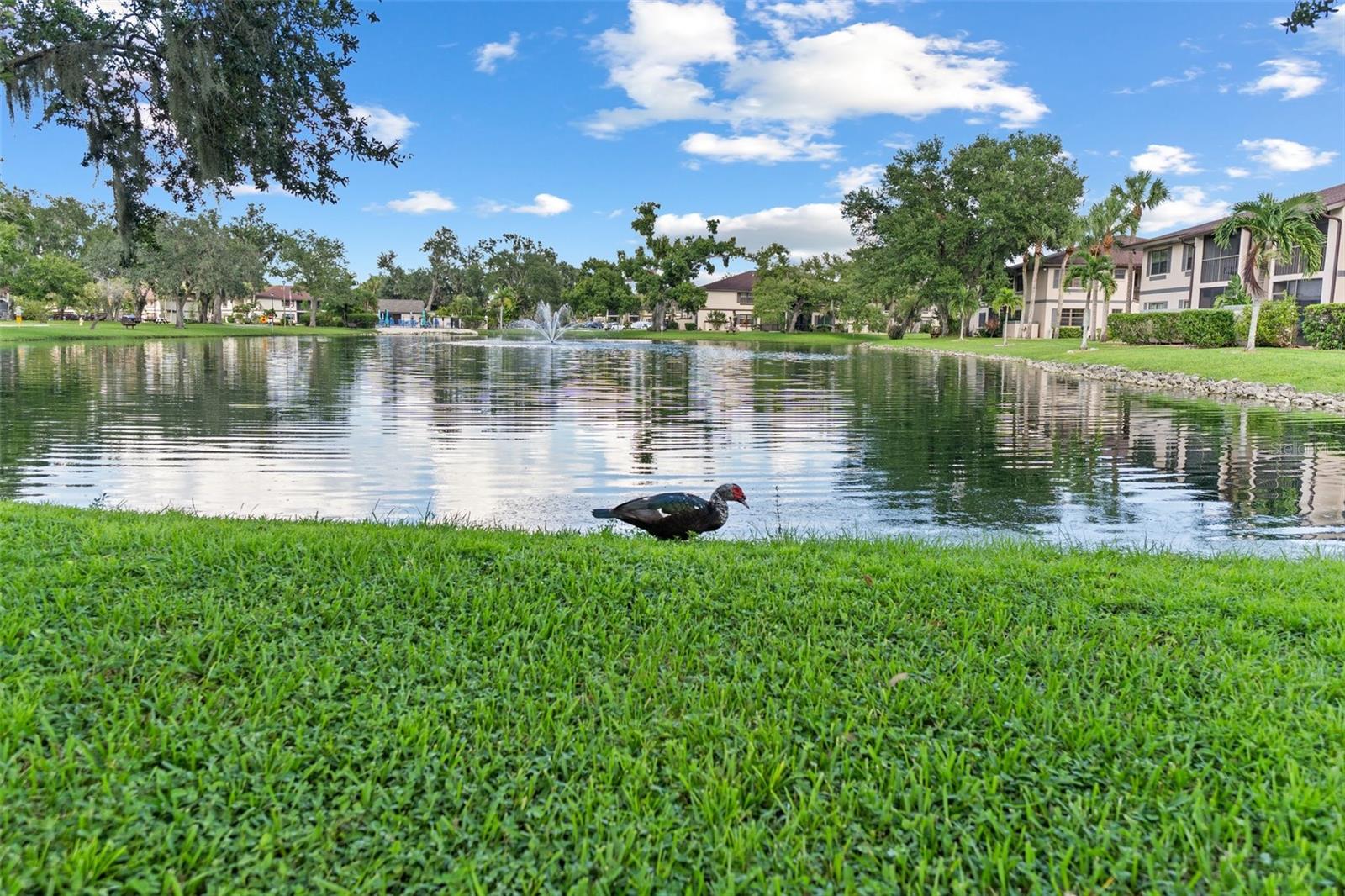 19505 QUESADA AVE #AA204, PORT CHARLOTTE, FL — photo 31