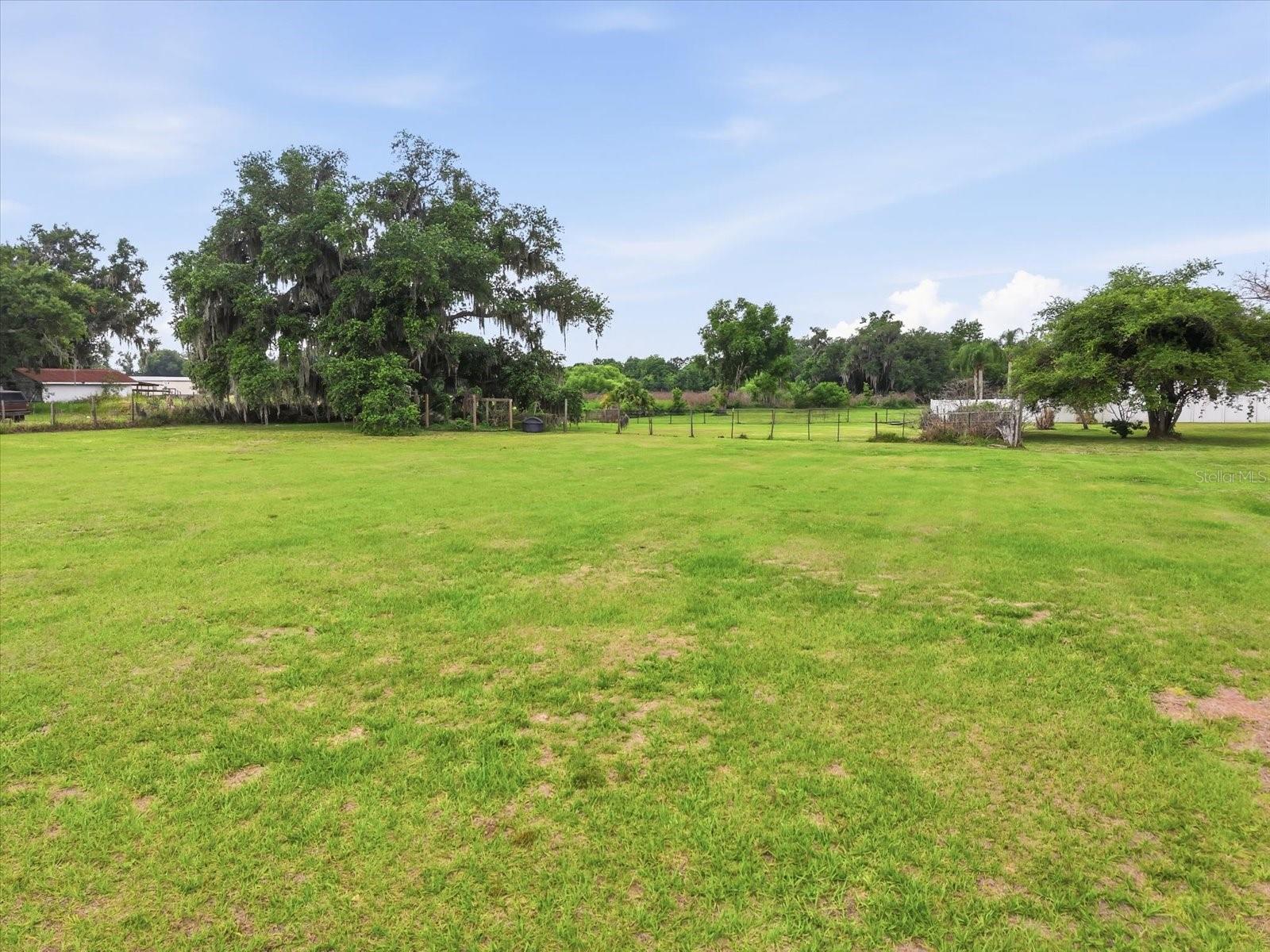 1113 COLSON RD, PLANT CITY, FL — photo 25
