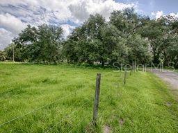 CR 763, BUSHNELL, FL — photo 5