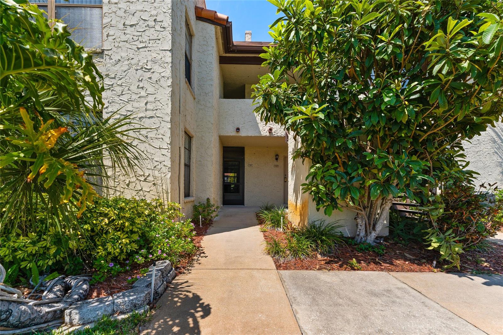 2571 CYPRUS DR #1-101, PALM HARBOR, FL — photo 6