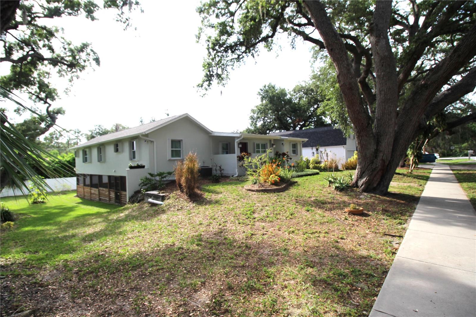 2436 NAVAREZ AVE, SAFETY HARBOR, FL — photo 2