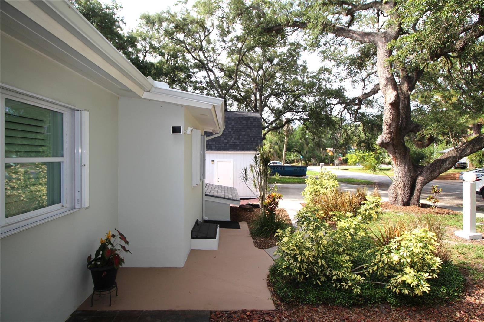2436 NAVAREZ AVE, SAFETY HARBOR, FL — photo 11