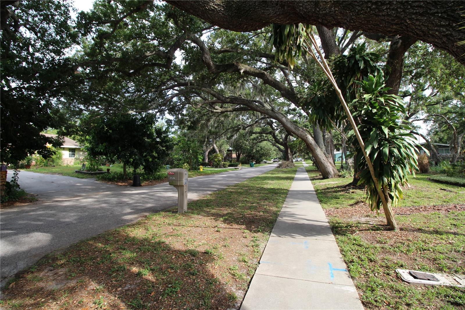 2436 NAVAREZ AVE, SAFETY HARBOR, FL — photo 12