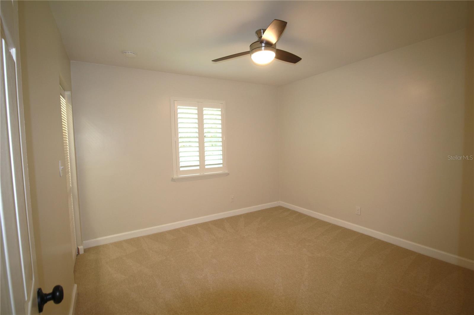 2436 NAVAREZ AVE, SAFETY HARBOR, FL — photo 49