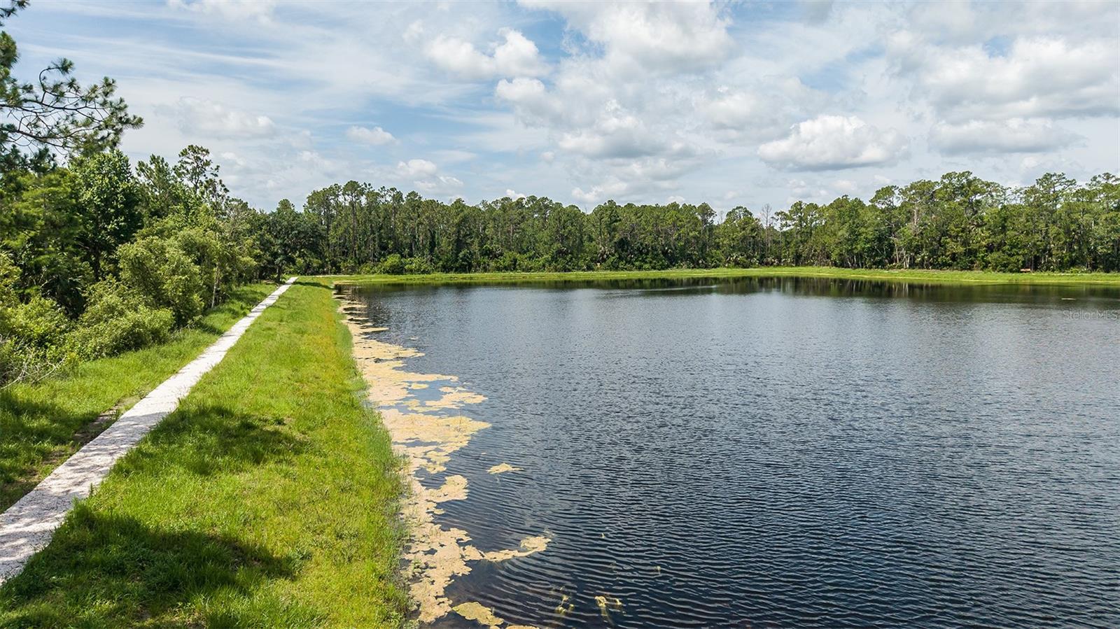 827 JUNONIA BLVD, NEW SMYRNA BEACH, FL — photo 13