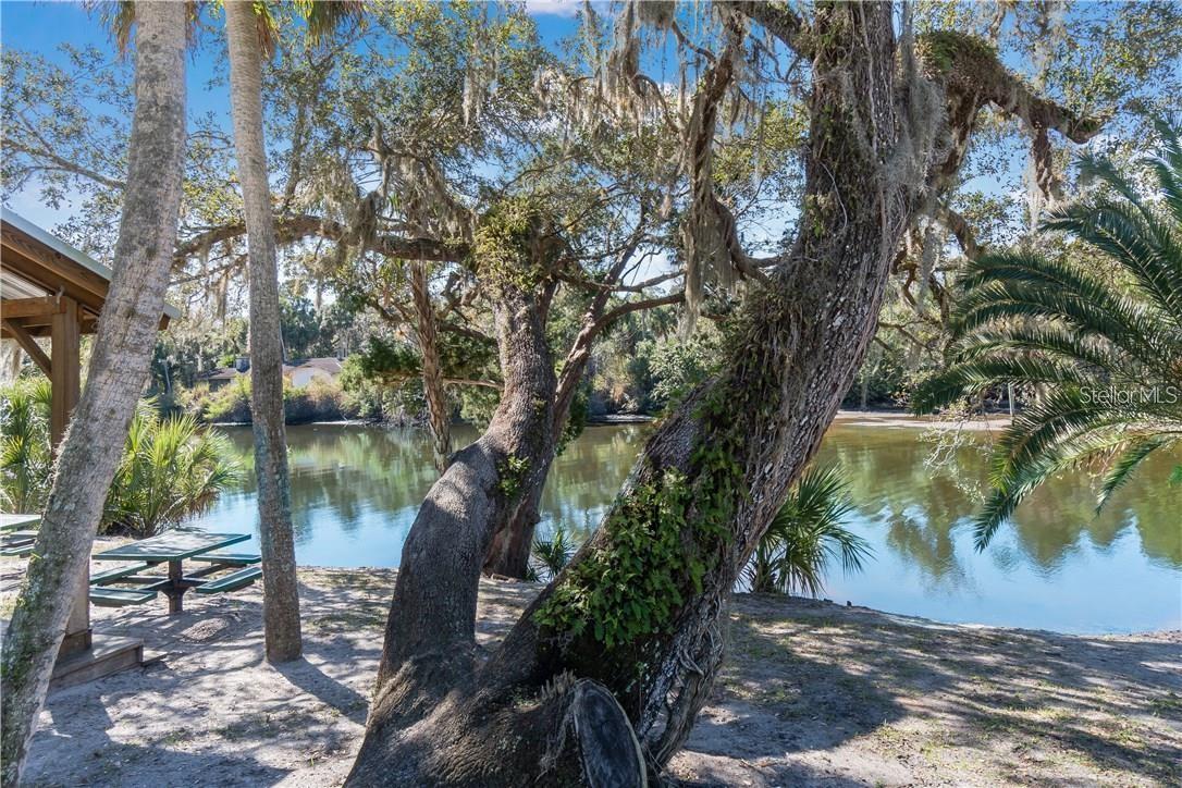 16203 33RD CT E, PARRISH, FL — photo 24