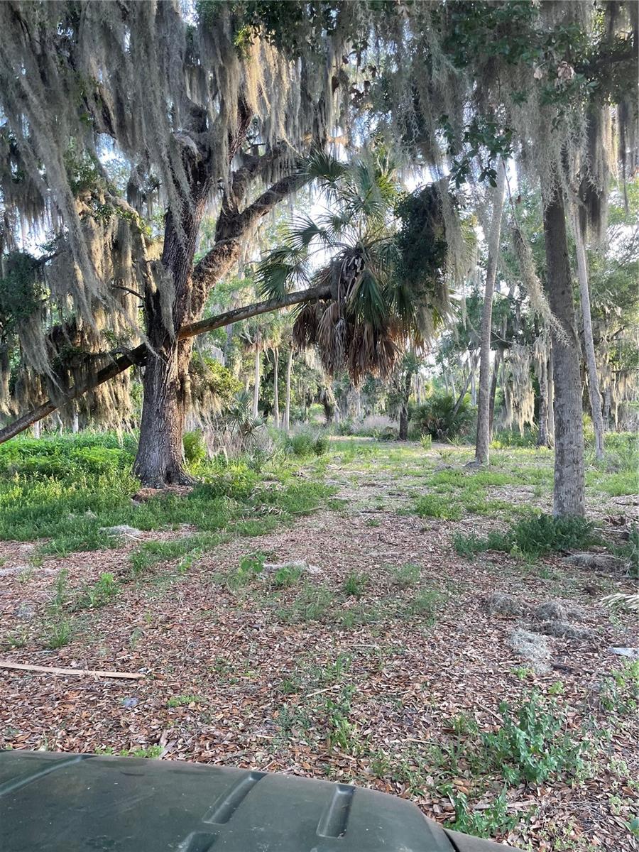 LAKE MARION RD W, HAINES CITY, FL — photo 5