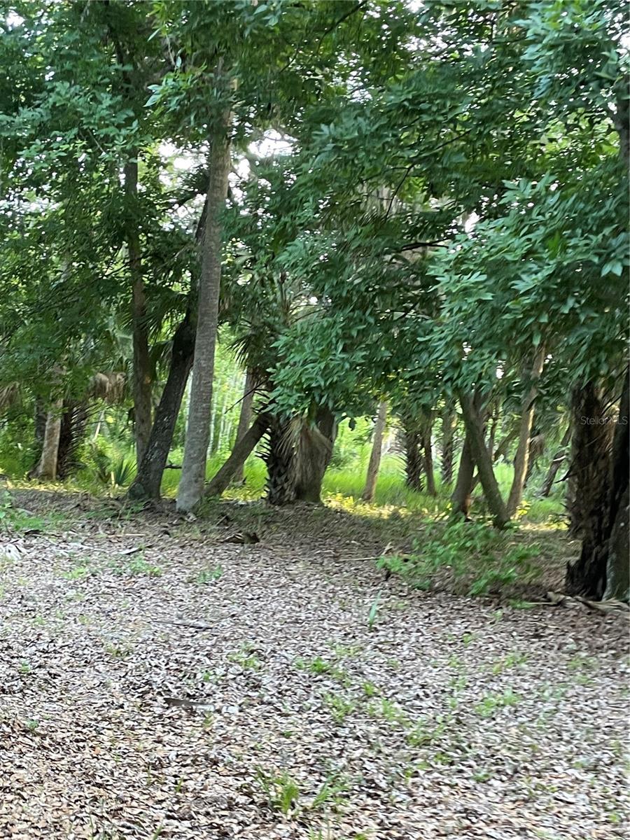 LAKE MARION RD W, HAINES CITY, FL — photo 11